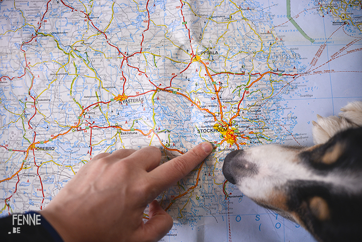 New travel plans | map, Border Collie, Stockholm| | www.DOGvision.be