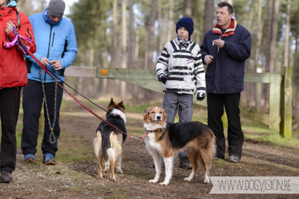 Birthday walk Ejay and Moon | www.DOGvision.be | dog photography