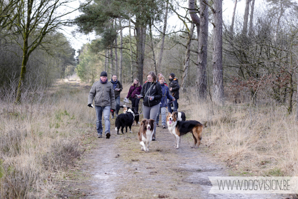 Birthday walk Ejay and Moon | www.DOGvision.be | dog photography