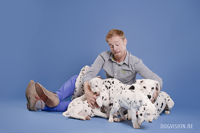 Dalmatian puppies | www.DOGvision.be | dog photography