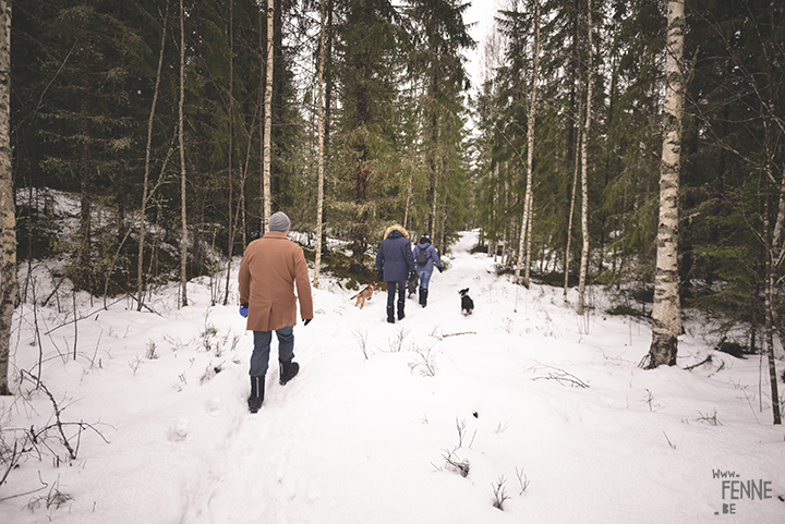 Winter in Zweden | hondenfotografie | www.DOGvision.be