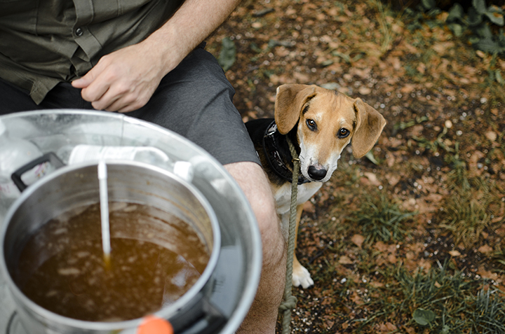 Zelf bier brouwen, Zweden, Belgen in Zweden, www.DOGvision.be