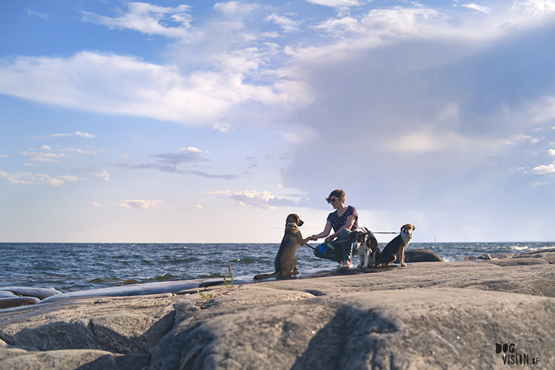 Creatieve hondenfotografie, hondenfotografie workshops in Zweden, www.DOGvision.be