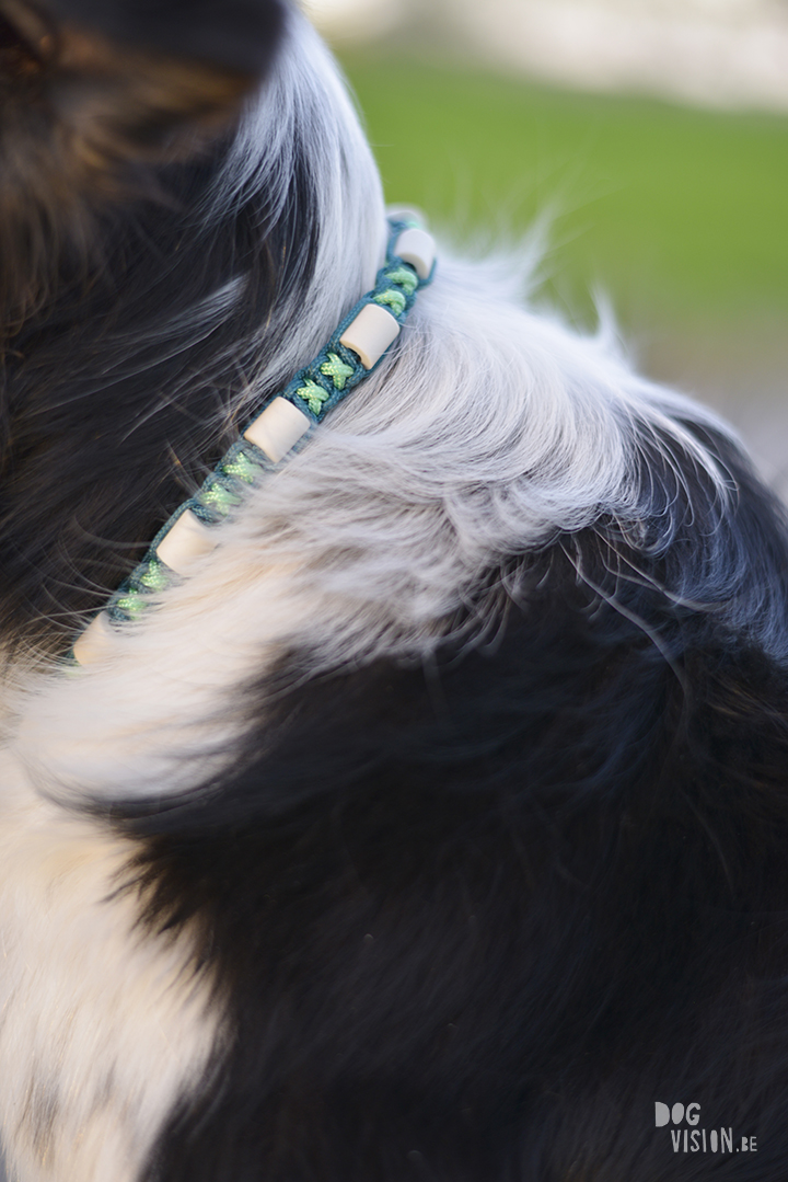 Em collars for dogs Clearance