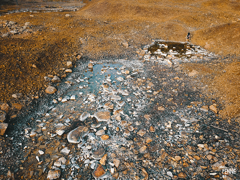 Drone fotografie, hondenfotogrfaie met drone, natuur in Zweden, Belgen in Zweden, www.dogvision.be