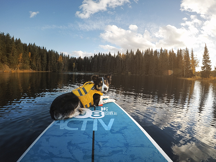 Autumn SUP | Ruffwear | Red Paddle Co | GoPro | blog on www.DOGvision.eu