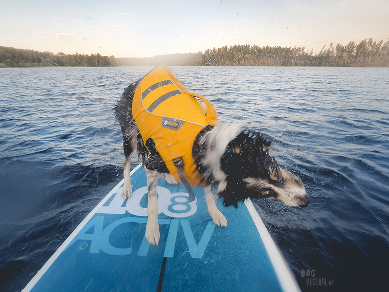 SUP met honden, stand uo paddle in Zweden, honden met ruffwear zwemvest, avontuur met honden, www.DOGvision.be