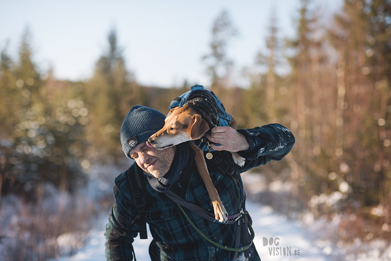 honden in Zweden, verhuizen naar Zweden, wandelen met honden in Zweden, hondenfotografie, commerciele hondenfotografie, hondenblog, www.DOGvision.be