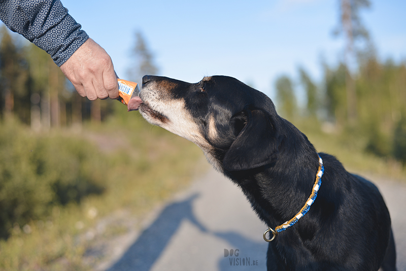 #TongueOutTuesday (22), SUP met de hond, honden in Zweden, hondenfotografie, gopro, blog op www.DOGvision.be