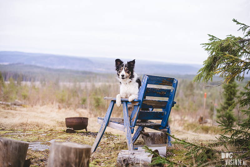 DOGvision hondenfotografie, wandelen met honden in Zweden, hutten zoeken, Dalarna, fika, www.DOGvision.be