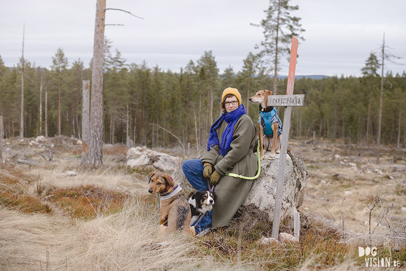 DOGvision hondenfotografie, wandelen met honden in Zweden, hutten zoeken, Dalarna, fika, www.DOGvision.be