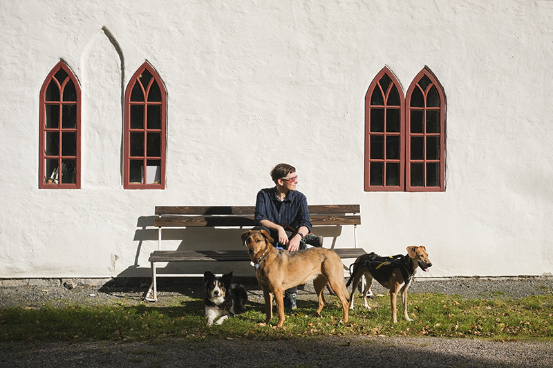 #TongueOutTuesday (39), hondenfotografie Zweden, hondenwandeling, Border Collie, rescue dogs, www.DOGvision.be