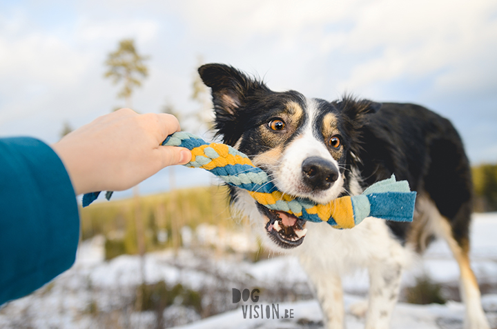 fleece tug toys for dogs