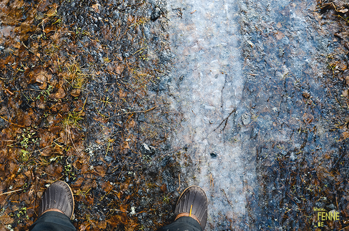 #TongueOutTuesday (01)| www.DOGvision.be | hondenfotografie | Zweden