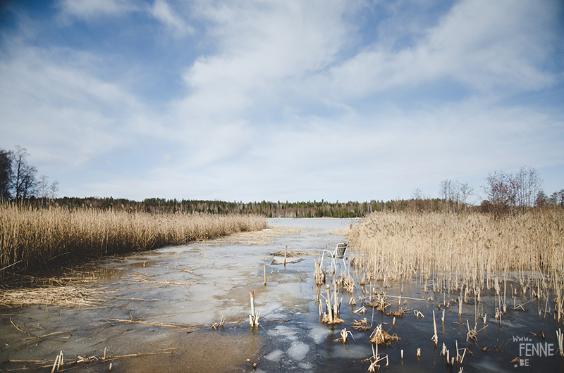 hondenfotografie Zweden, wandelen in Zweden, honden blog, www.DOGvision.be