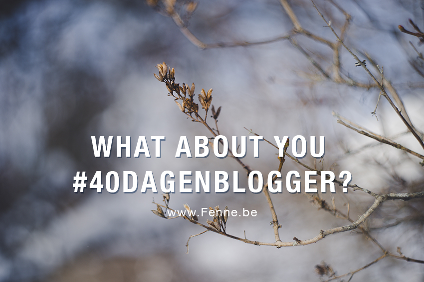 40 dagen bloggen challenge op www.DOGvision.be