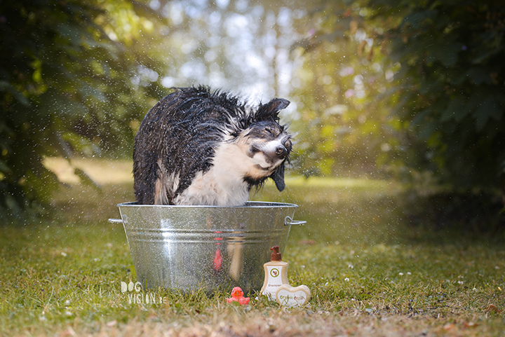The mystery box from Organic Oscar | pet grooming | review by www.DOGvision.be