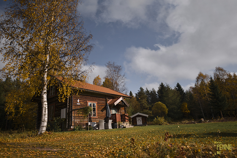 Traveling with dogs: a charming cottage in Orsa (Dalarna/Sweden)| Reizen met honden, Dalarna, Zweden | blog on www.DOGvision.be| 