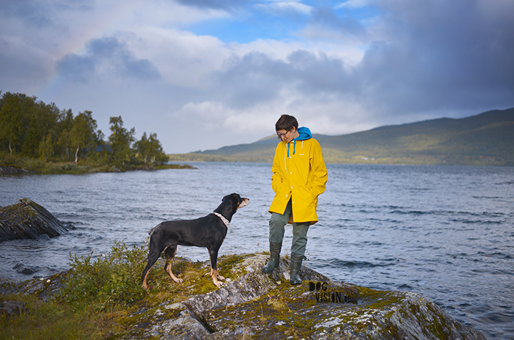 Yellow Rain coat | Norway | Traveling with dogs | blog on www.DOGvision.be