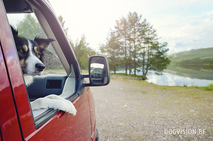 Lapland | Traveling with dogs | www.DOGvision.be