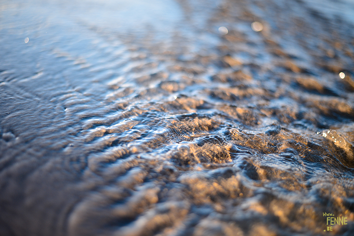 Our secret spot at the beach, Domburg Netherlands | dog photography/ hondenfotografie | www.DOGvision.be