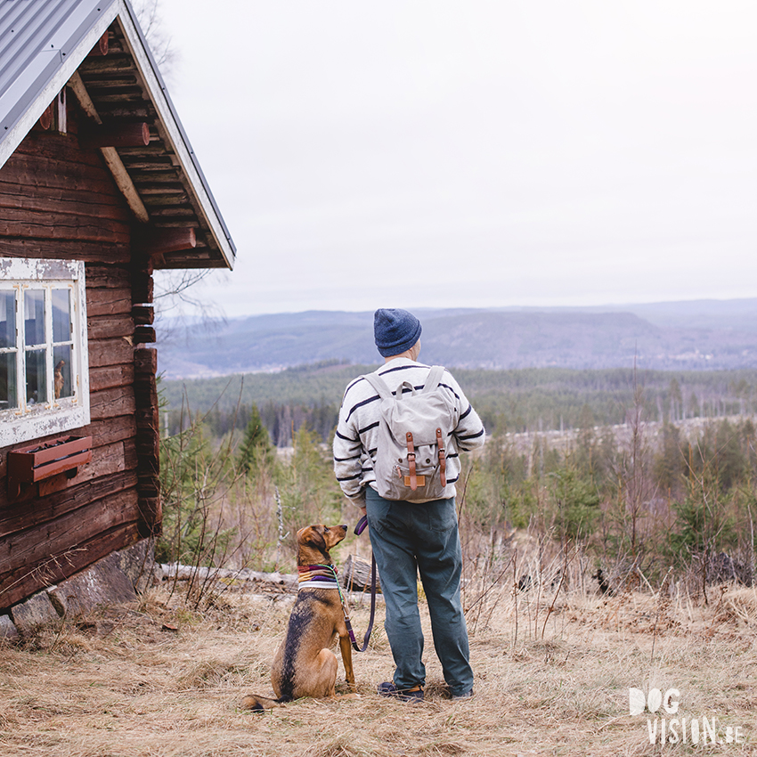 DOGvision hondenfotografie, wandelen met honden in Zweden, hutten zoeken, Dalarna, fika, www.DOGvision.be