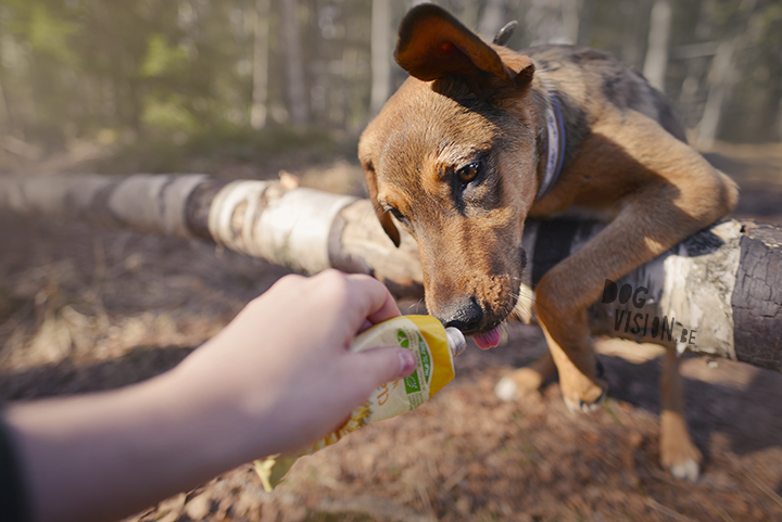 #TongueOutTuesday (14) | www.DOGvision.be