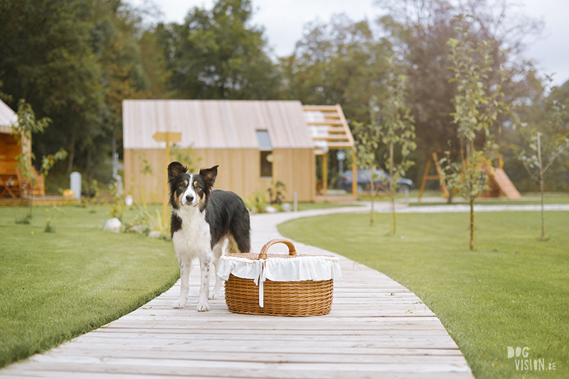 road trip with dogs to Slovenia, traveling with dogs, dog photographer, dog blogger, creative dog photography, www.DOGvision.eu