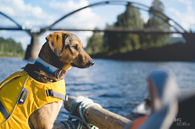  Tweedaagse vlottentocht met honden in Värmland (Zweden), hondenfotografie, hondenfotograaf, avontuur en kamperen met honden, www.DOGvision.be