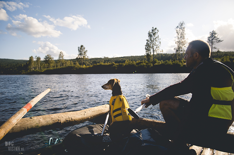  Tweedaagse vlottentocht met honden in Värmland (Zweden), hondenfotografie, hondenfotograaf, avontuur en kamperen met honden, www.DOGvision.be