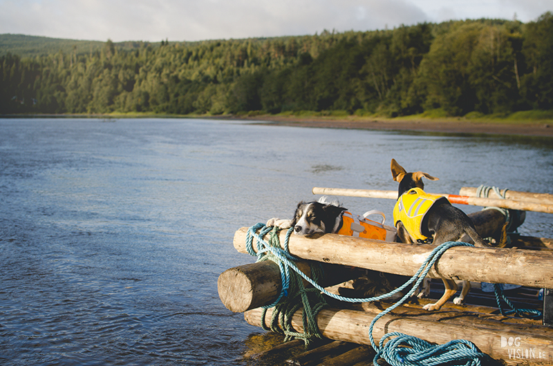  Tweedaagse vlottentocht met honden in Värmland (Zweden), hondenfotografie, hondenfotograaf, avontuur en kamperen met honden, www.DOGvision.be