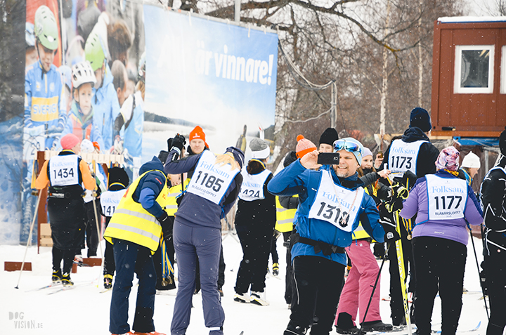 Vasaloppet 2018, Dalarna, Zweden | honden blog, hondenfotografie | www.DOGvision.be