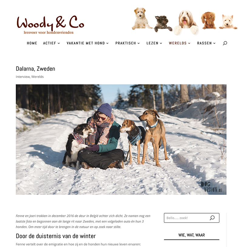 woody-en-co-Dalarna, screenshot, verhuizen naar Zweden met honden, www.DOGvision.be