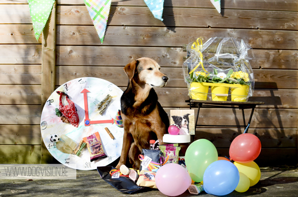 Doggy birthday party  | www.DOGvision.be