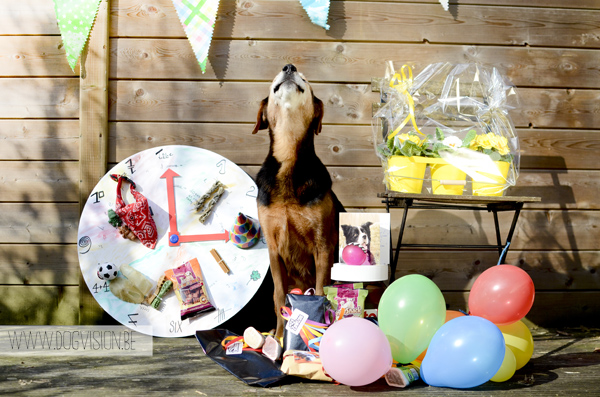 Doggy birthday party  | www.DOGvision.be