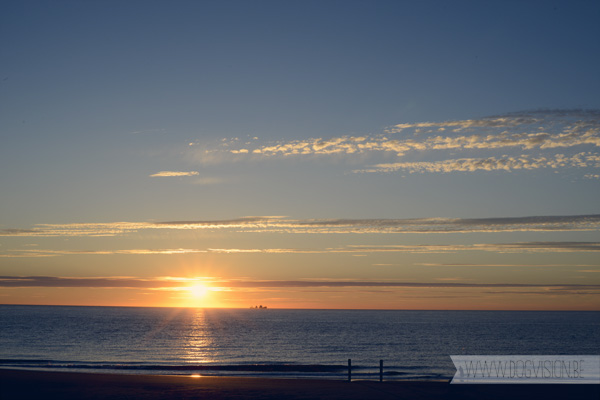 Domburg, Nederland | hondenfotografie | www.DOGvision.be