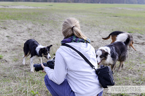 30/10/2014 | Linkeroever | Moby | Bordercollie