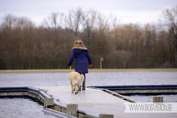 Hachiko Hummer & Eclips | www.DOGvision.be | hondenfotografie