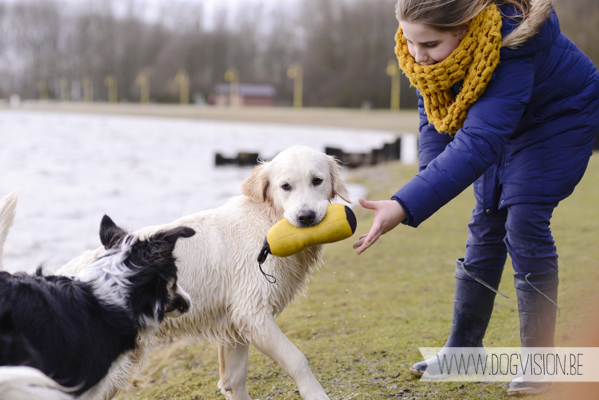 Hachiko Hummer & Eclips | www.DOGvision.be | hondenfotografie