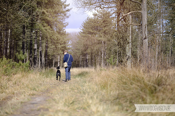 Easter 2015 | Chaamse bossen | hondenlosloopgebied Nederland | www.DOGvision.be | hondenfotografie