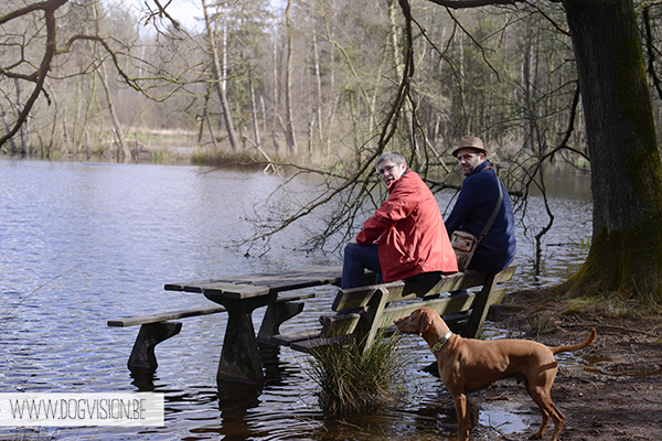 Easter 2015 | Chaamse bossen | hondenlosloopgebied Nederland | www.DOGvision.be | hondenfotografie