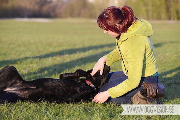 Nuna  (Black labrador retriever) | www.DOGvision.be | dog photography