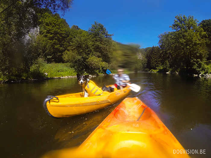 Kajak with dogs | www.DOGvision.be | Gopro | Ruffwear