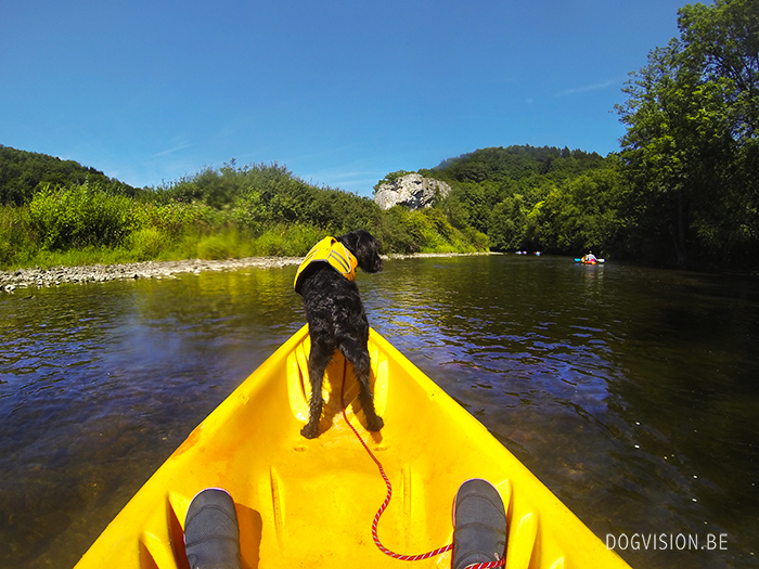 Kajak with dogs | www.DOGvision.be | Gopro | Ruffwear