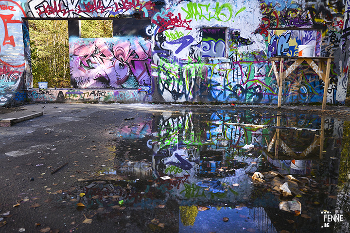 29 september | Graffiti + Border Collie | www.DOGvision.be