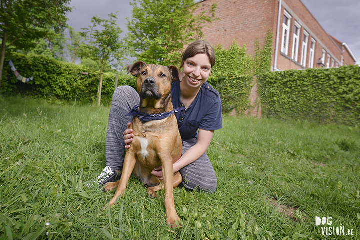 Hond in't Groen | www.DOGvision.be | dog photography