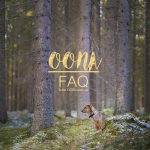 dog photography | www.DOGvision.be