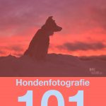 Hondenfotografie 101| www.DOGvision.be