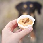 Cupcakes for a birthday dog | Ravasz Transylvanian hound| Blog & dog photography tips on www.DOGvision.be