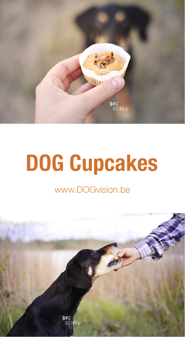 dog cupcakes| DIY for dogs | www.DOGvision.be